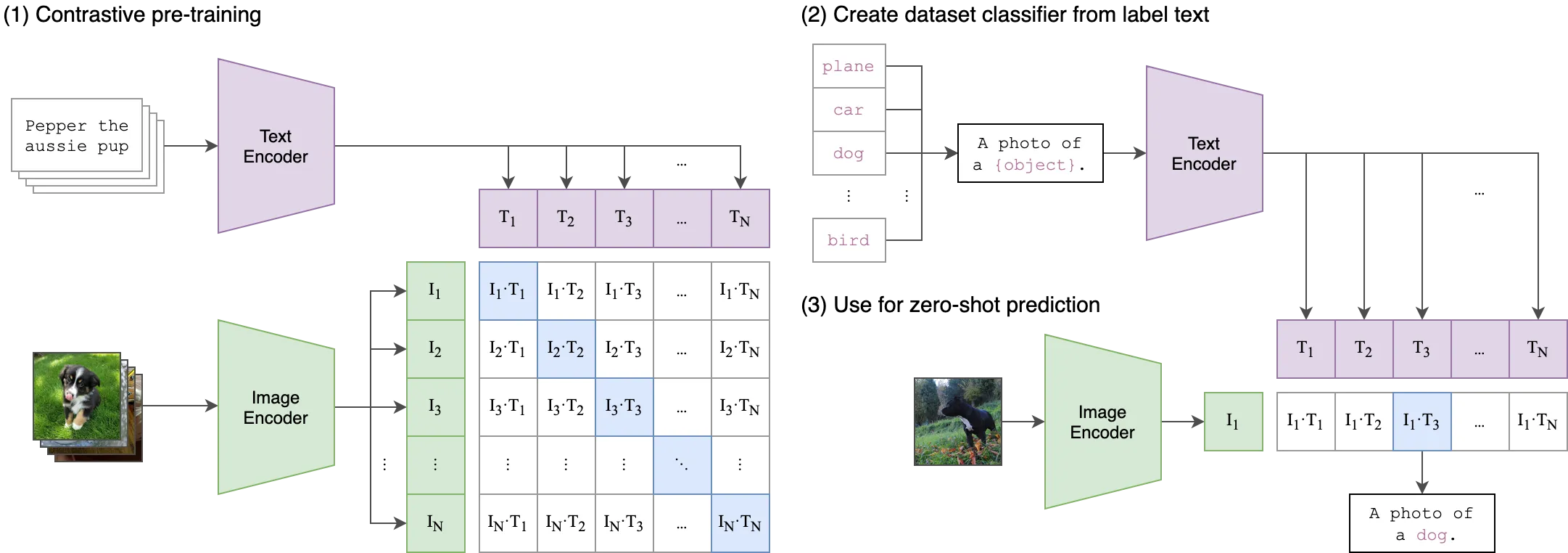 CLIP contrastive training